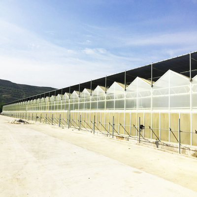 90 ультрафиолетовой обработанной агро процентов сети тени для овоща земледелия