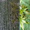 Ткань тени тени HDPE чистая для плетения Windbreak сада agri