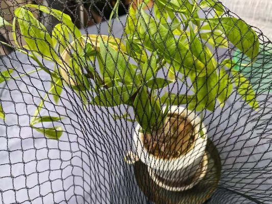 Предохранение от сети рыбного пруда Koi цапли бассейна анти- покрывает Hdpe 15ft x 20ft