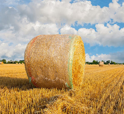 УЛЬТРАФИОЛЕТОВОЕ пластмассы обруча сети связки 8.33GSM анти- с предупреждающей линией